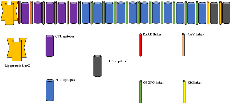 Figure 11