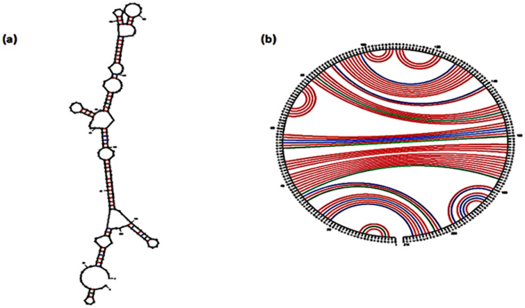 Figure 12
