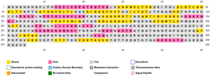 Figure 13