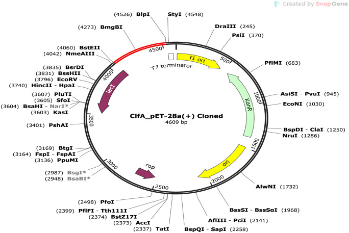 Figure 29
