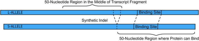 Figure 29