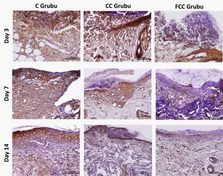 Figure 2