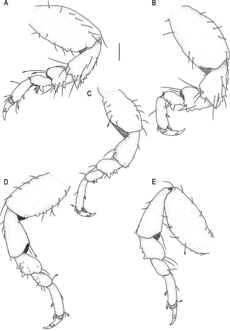 Figure 8