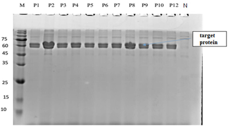 Figure 6