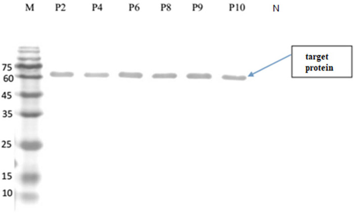Figure 7