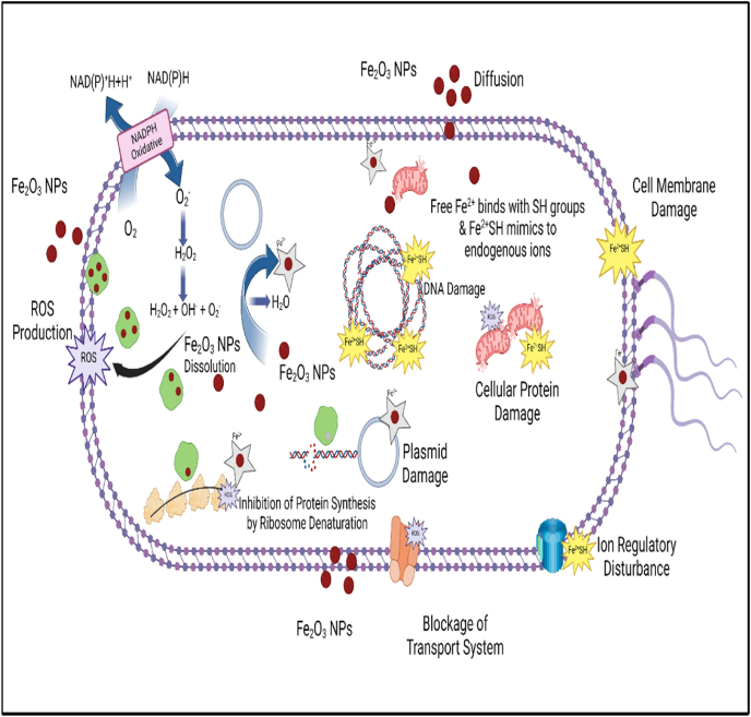Figure 7