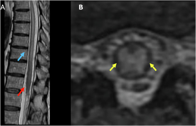 Figure 10