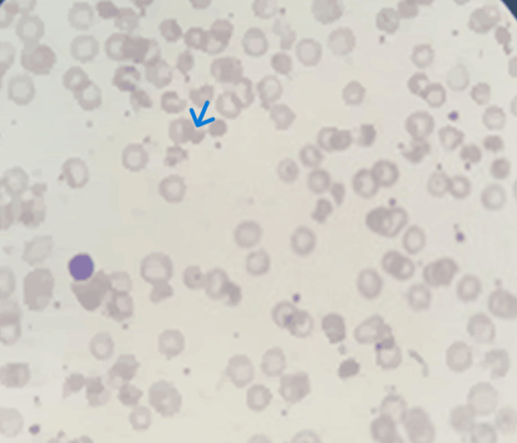 Figure 5