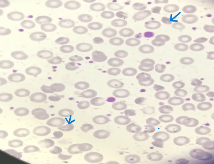 Figure 6
