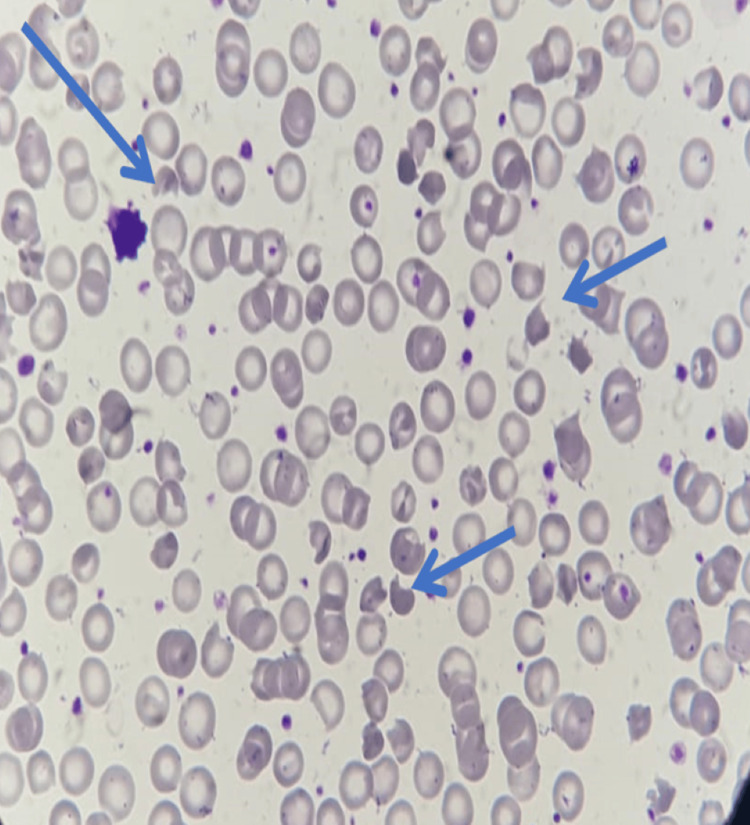 Figure 7