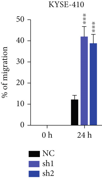 Figure 20