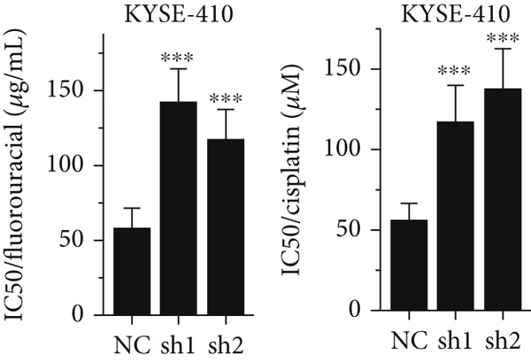 Figure 21