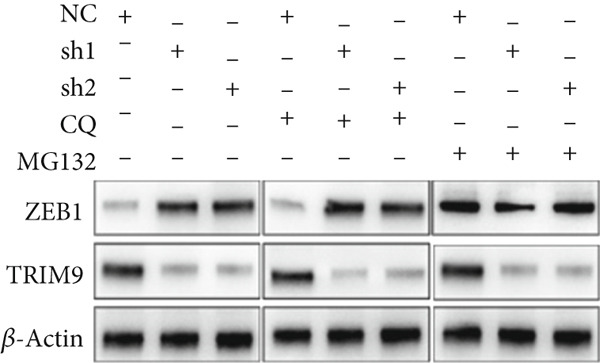 Figure 22