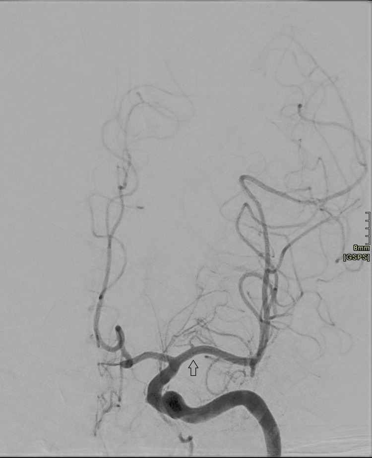 Figure 7