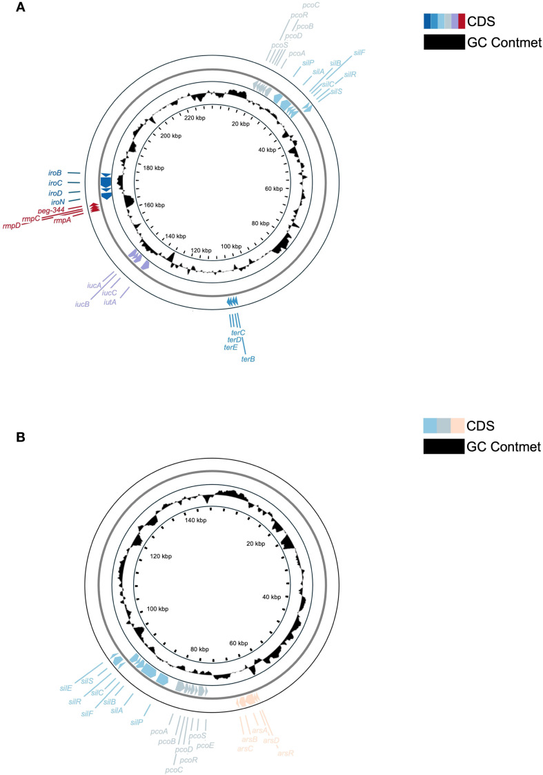 Figure 7