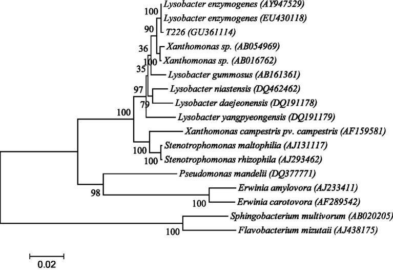 Figure 10