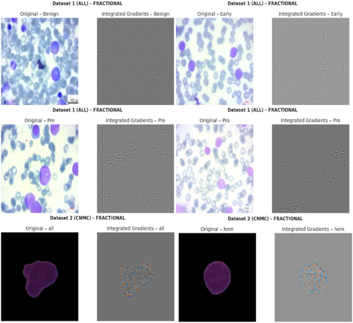 Figure 22