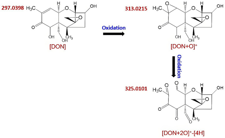 Figure 6