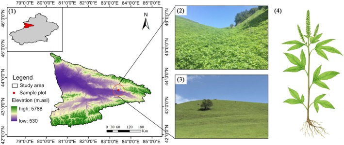 Figure 6