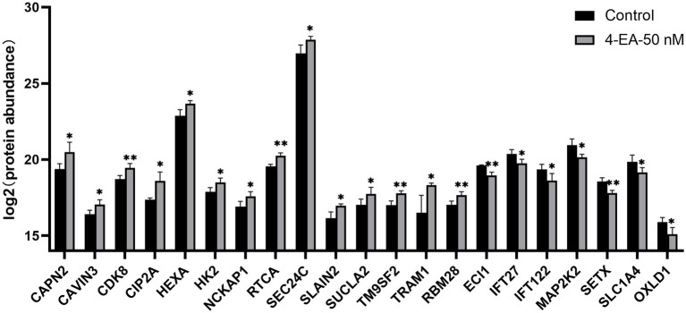 Figure 5