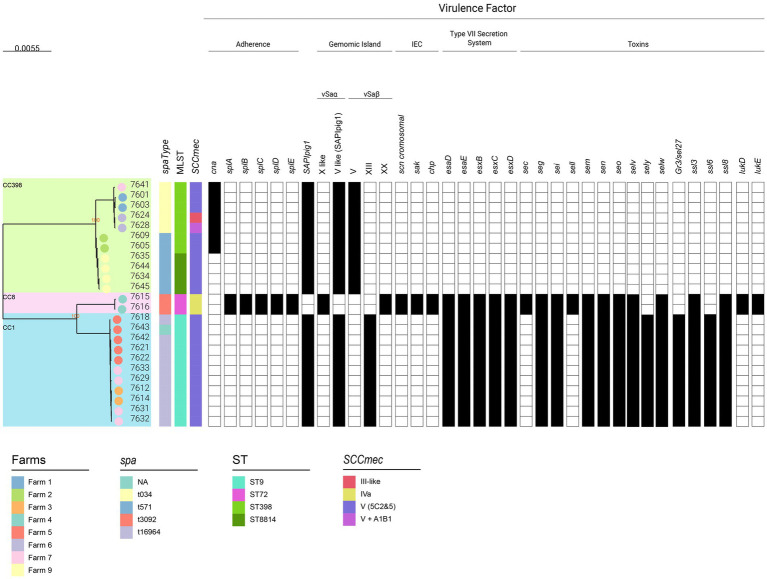 Figure 4