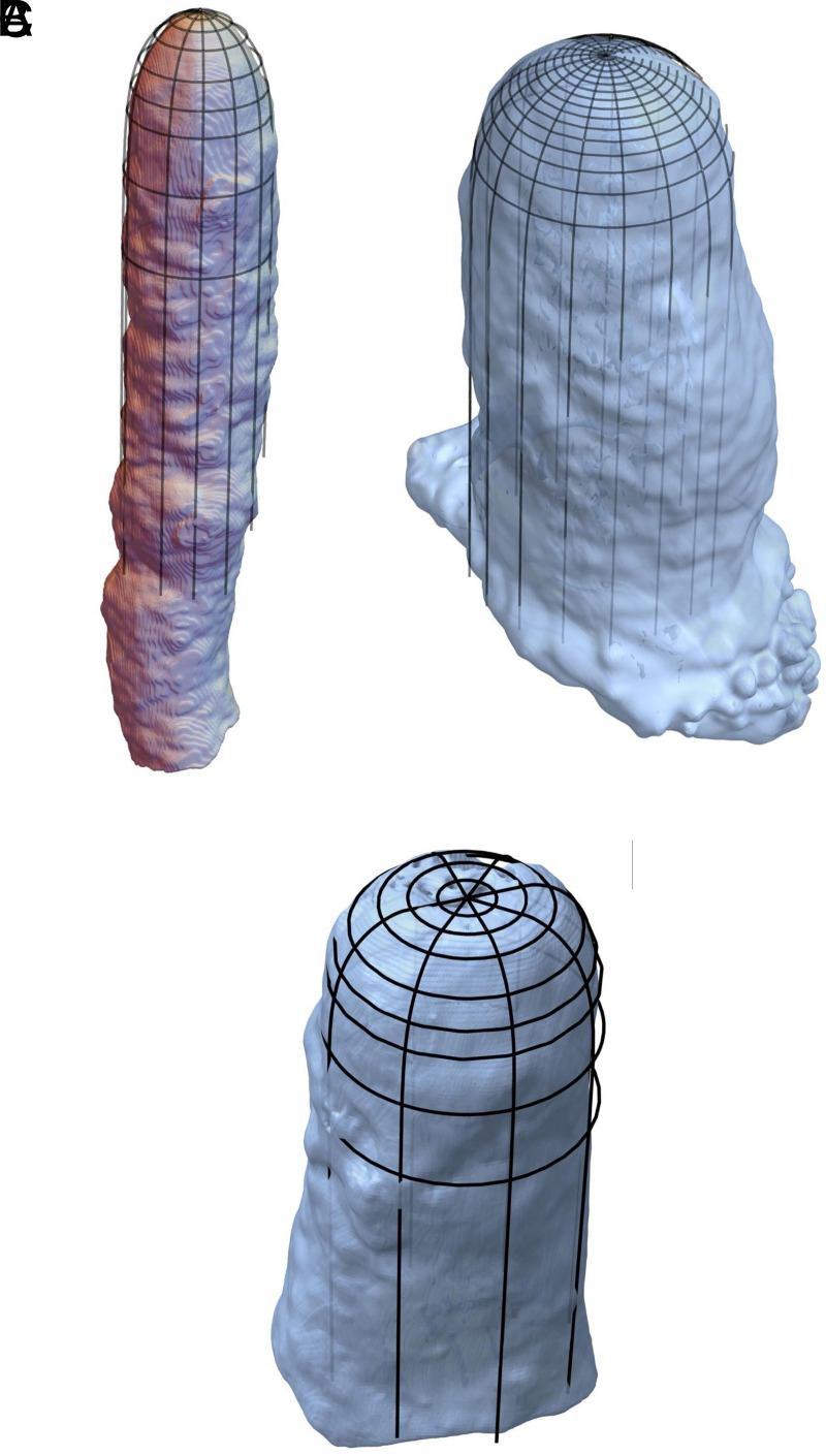 Figure 7