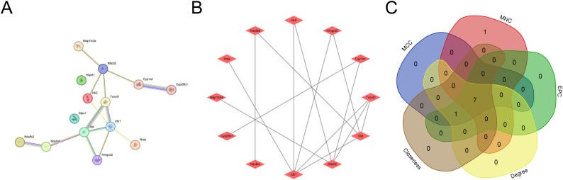 Figure 7