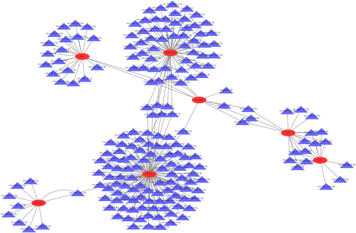 Figure 9