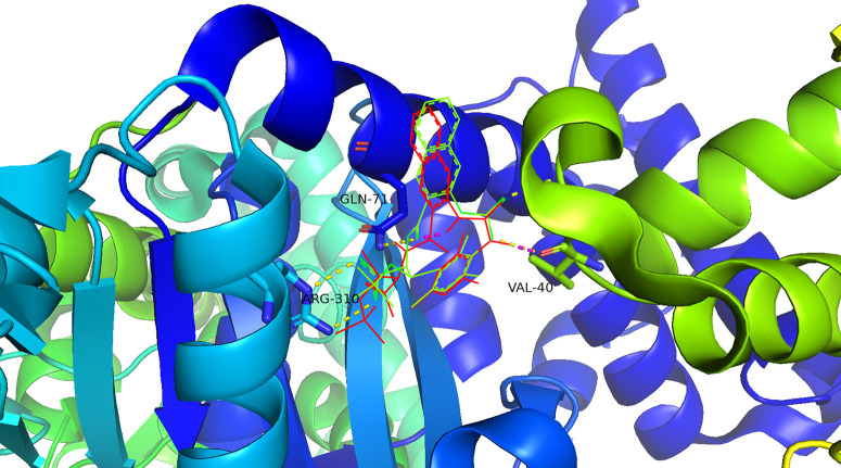Figure 5