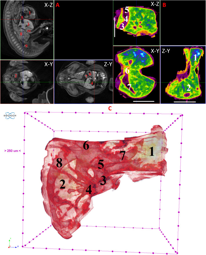 Figure 6