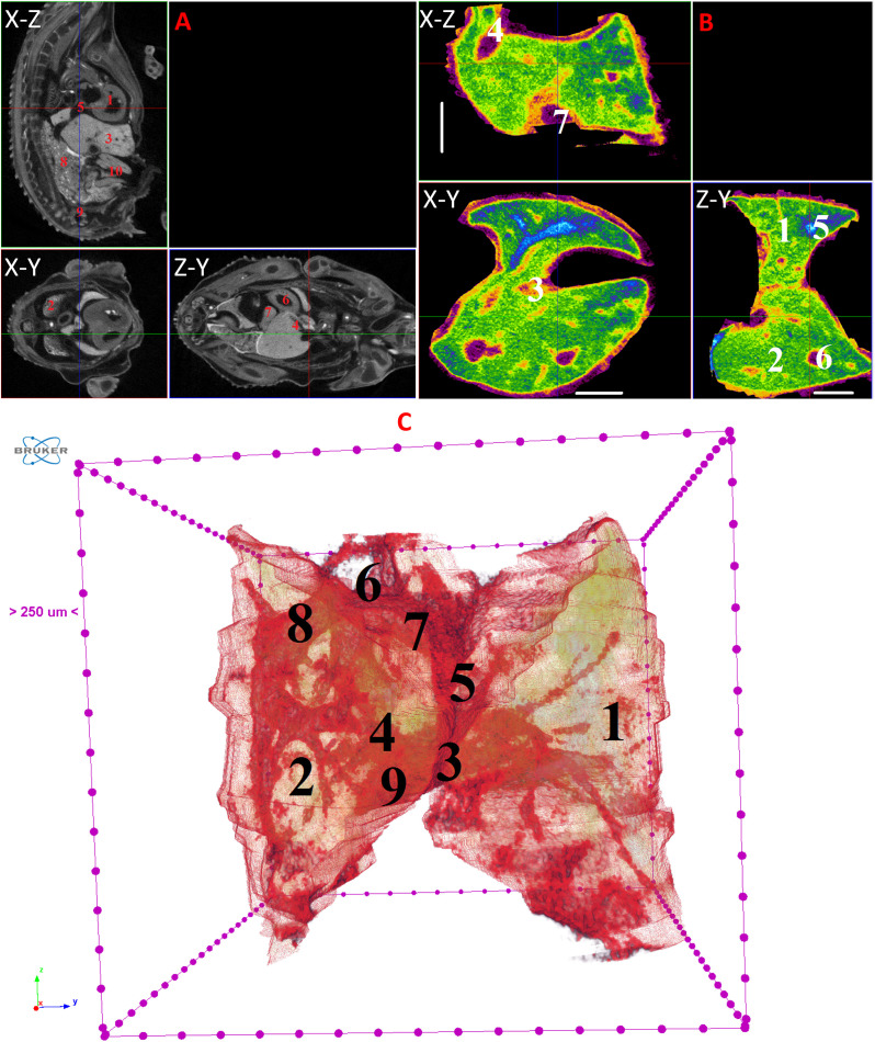 Figure 10