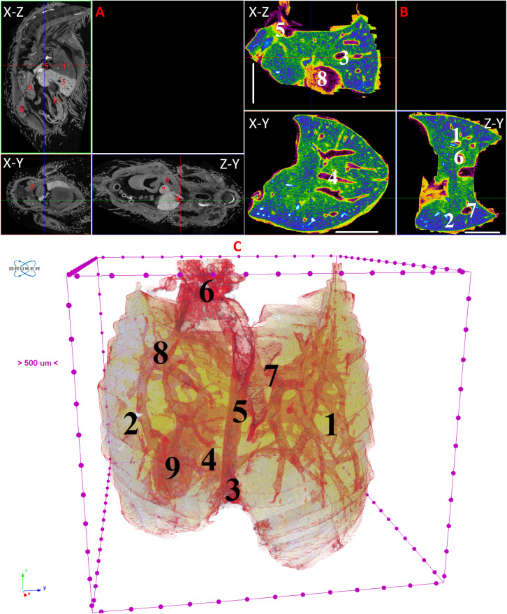 Figure 12