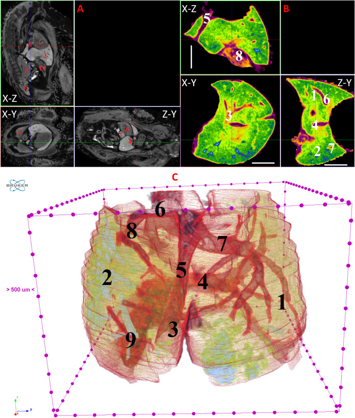 Figure 13