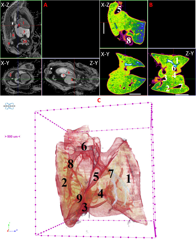 Figure 14