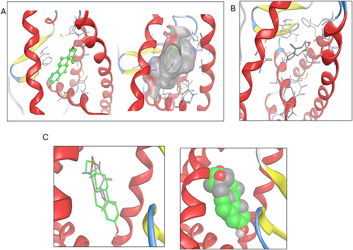 Figure 7
