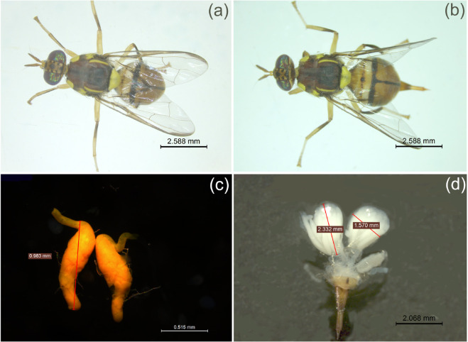 Figure 13
