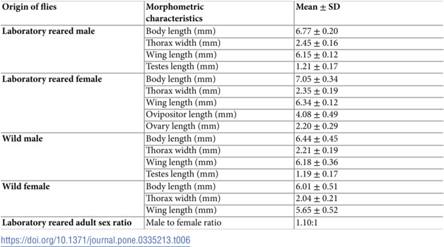 Figure 24