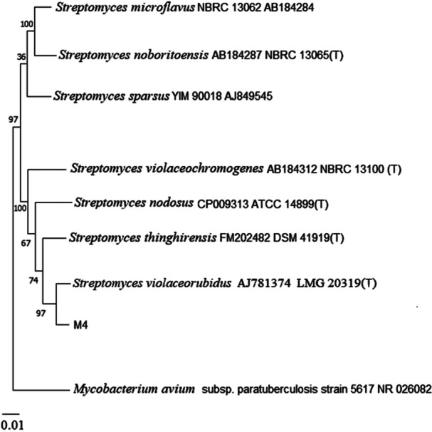 Figure 5