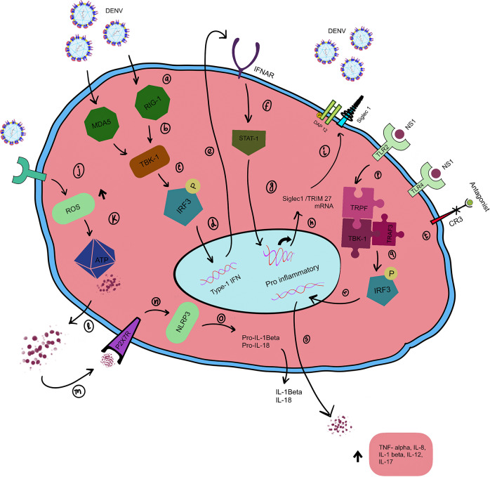 Figure 6