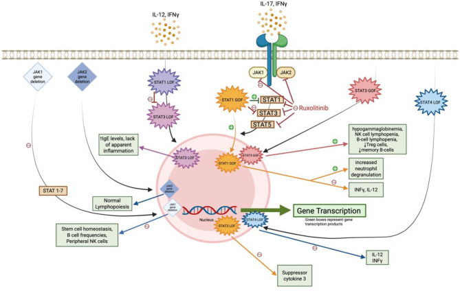 Figure 6