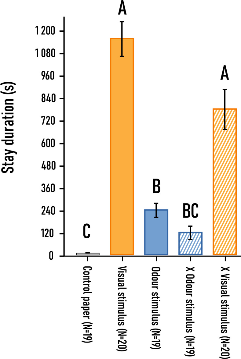 Figure 11
