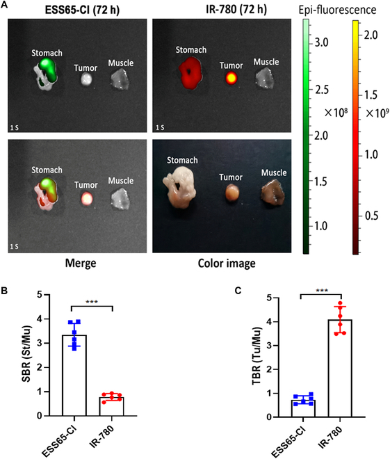 Fig. 4