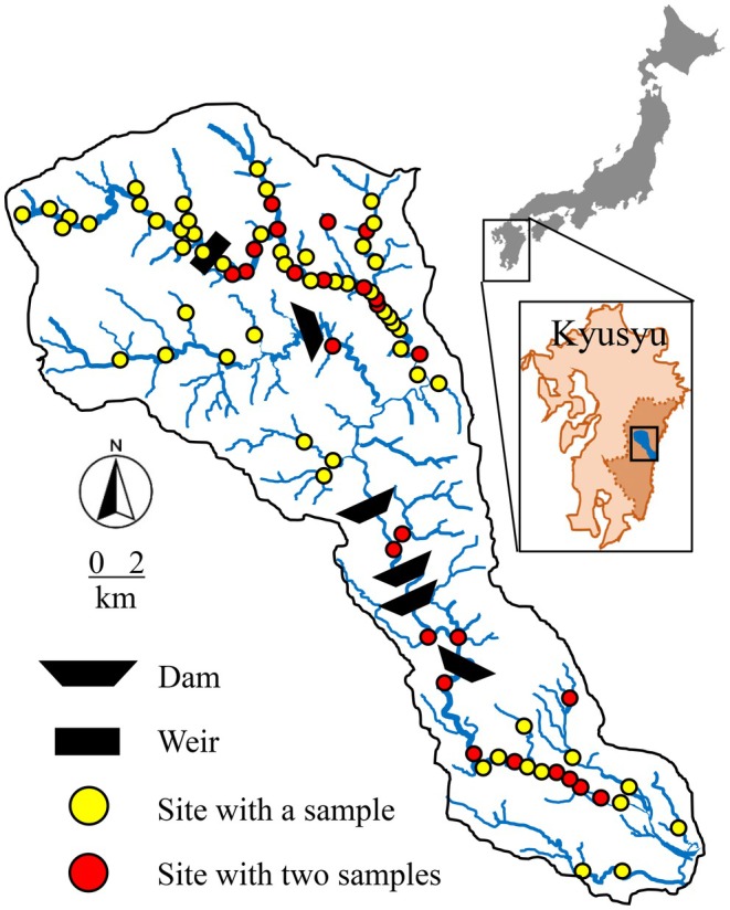 FIGURE 2