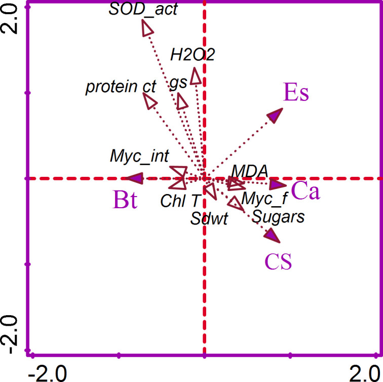 Figure 4