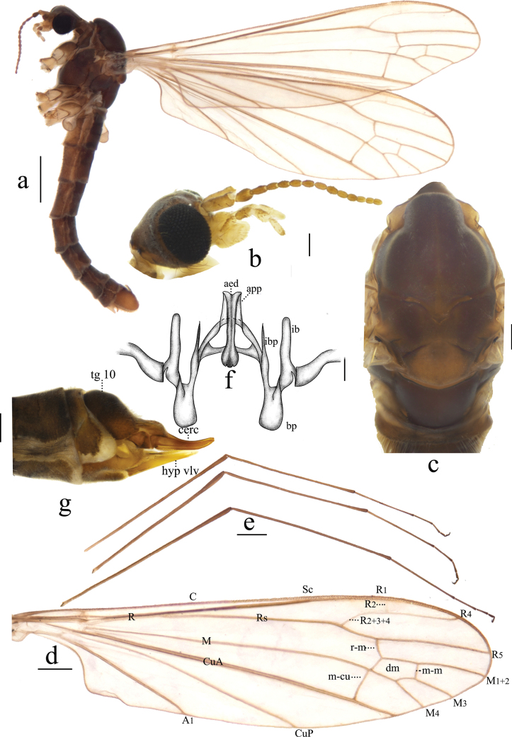 Figure 7