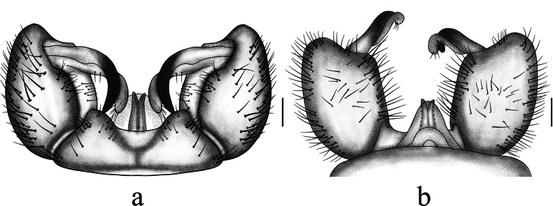 Figure 8