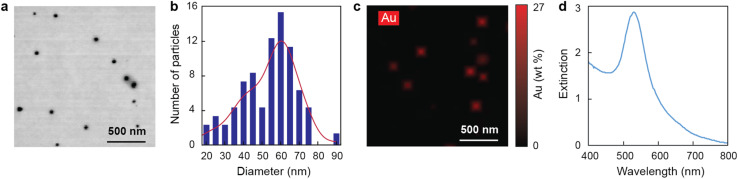 Fig. 1