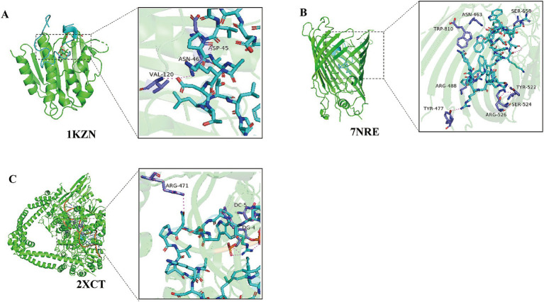 Figure 5