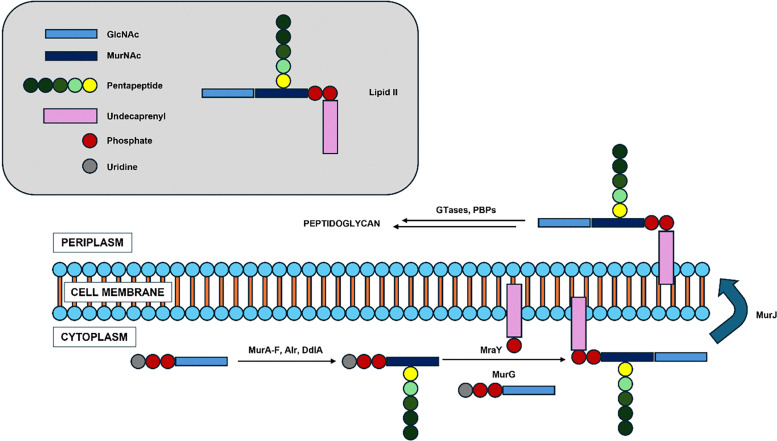 Fig. 2