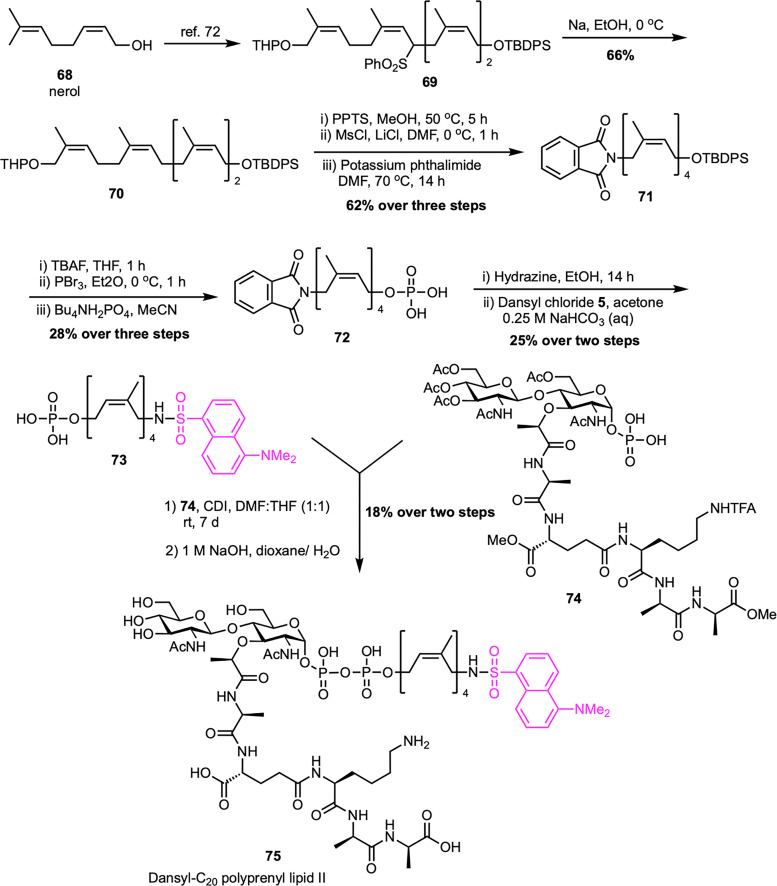 Scheme 11